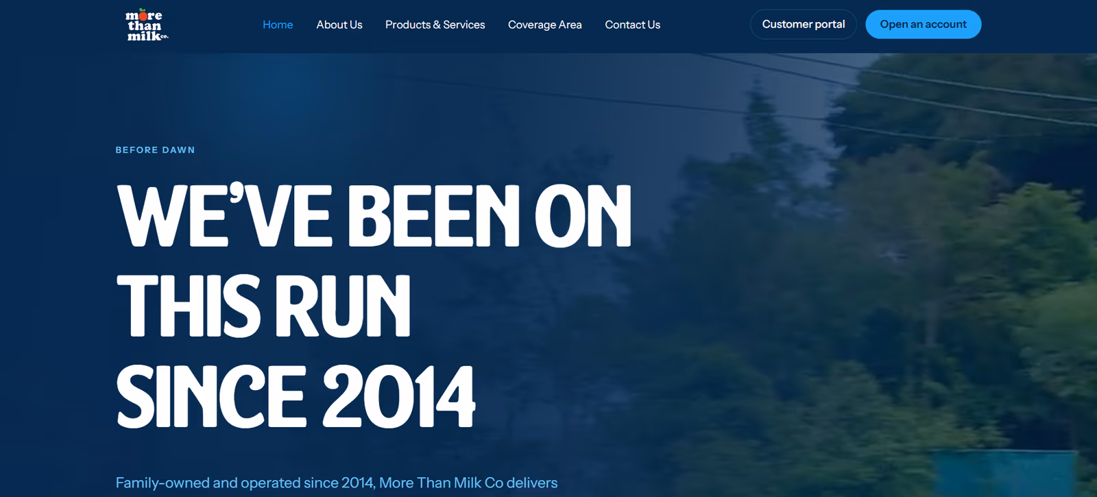 The More Than Milk Co home page in a browser — a product-led distributor site with the ordering call to action above the fold.