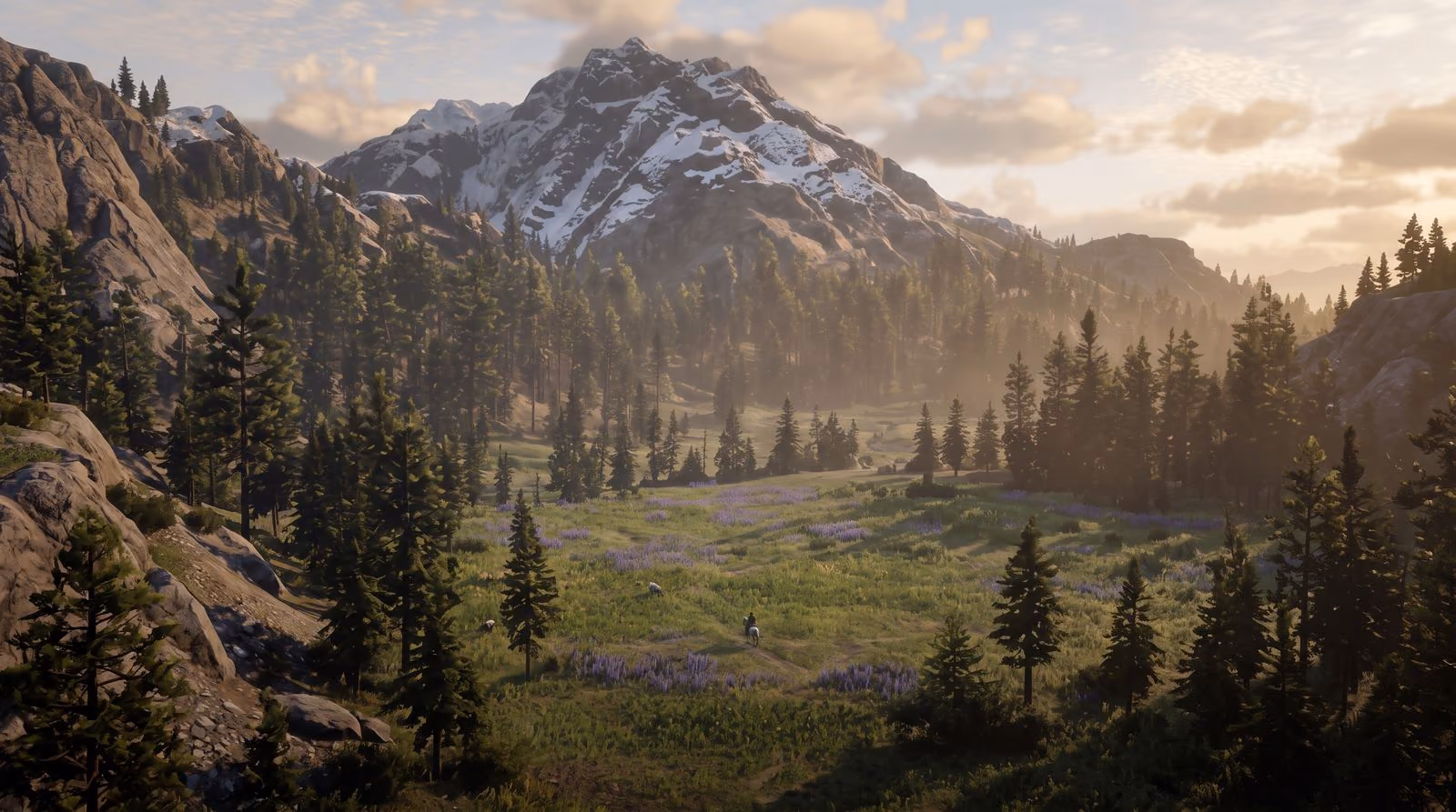 A mountain valley in low golden light: pine forest running up to a snow-capped peak, a meadow opening in the foreground.